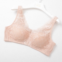Foreign trade original single lace size plus fertilizer to increase no steel ring gathering fat MM anti-slip collection bra underwear