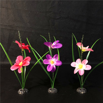 Hotel mood dishes Cold dish plate decoration Catering sashimi plate decoration flowers Creative small ornaments Sushi embellishment flowers