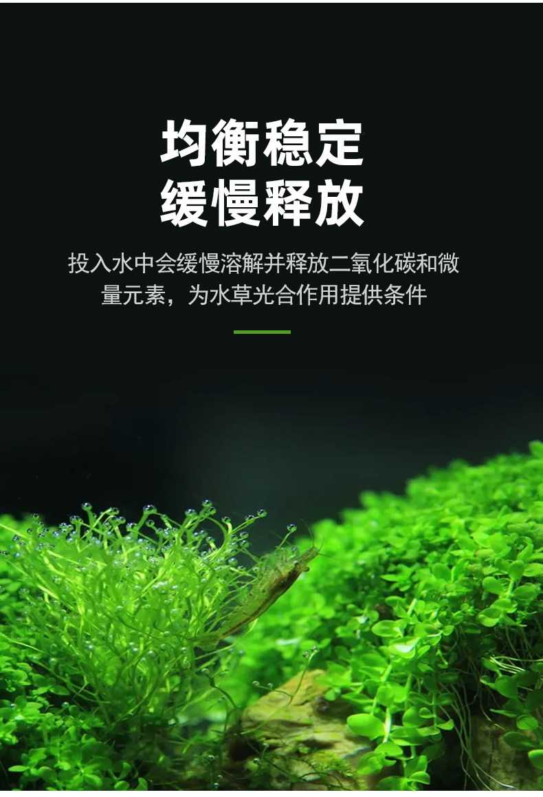 二氧化碳片鱼缸专用co2水草发生器草缸反应材料泡腾片细化缓释片