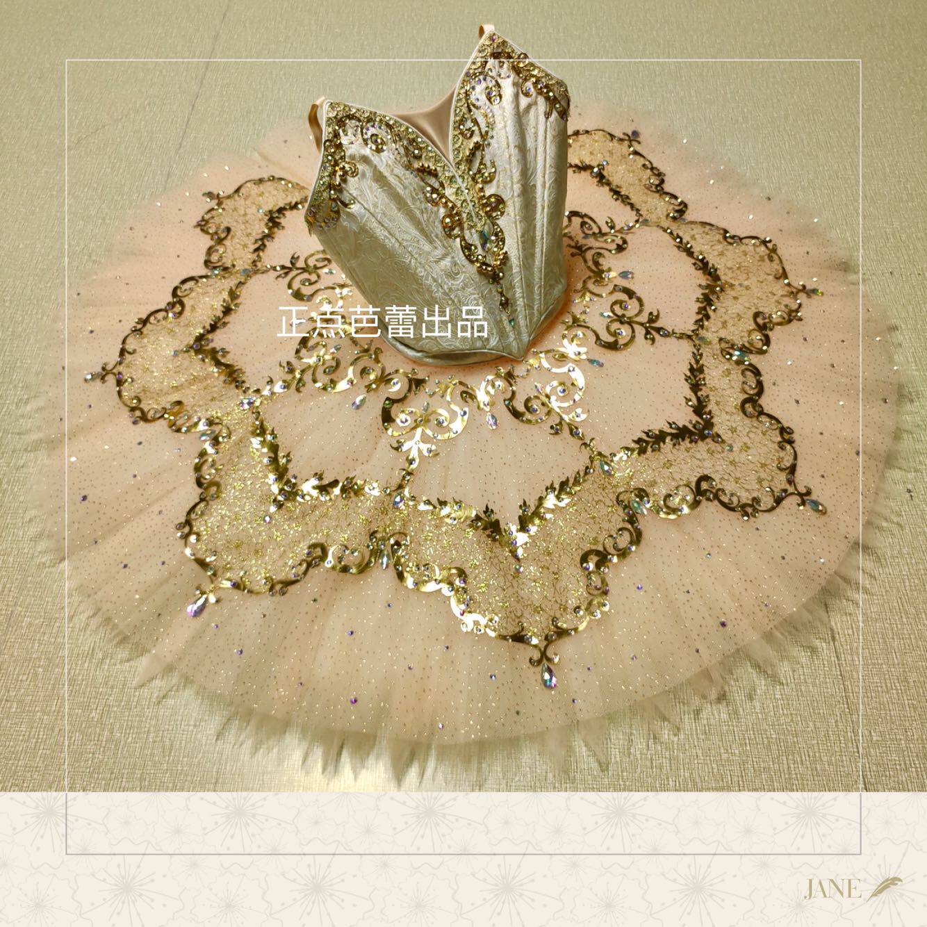 Positive Point Ballet Out Professional Ballet Tutu 