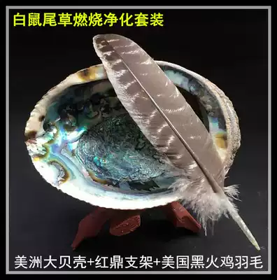 Purification burning sage prop set Shell feather Wood bracket Purification and expulsion room Crystal meditation