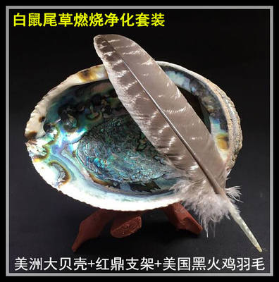 White sage burns shell vessels, black Turkey feathers, redwood stands, new house, crystal meditation, family smoke