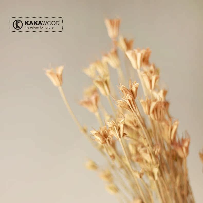 kakawood�ؾӼҾ���װ��Ʒ��Ҷ