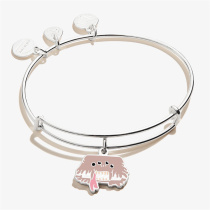 United States Harry Potter peripheral genuine ALEX AND ANI co-name monster book pendant bracelet bracelet