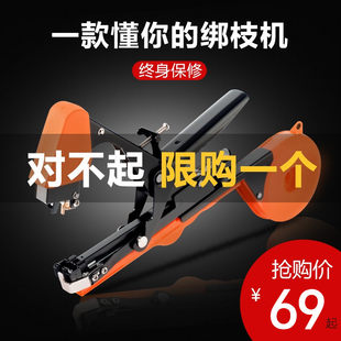 13 возраст Реализм новый виноград Галстук запад красный Филиалы хурмы машина желтая Дыня галстука обязательный Саженцы конец машина