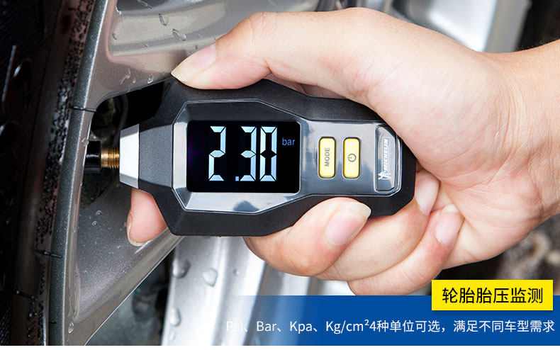 Xie Shijie 170807-мичелин указатель давления в шинах 12292