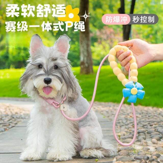 P rope p chain dog traction rope explosion-proof and anti-breakaway small, medium and large dog walking dog training dog rope resistant to bites LY