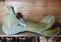 American western saddle pasture saddle polyurethane covered with GRP skeletons