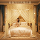 Bold encrypted bracket mosquito net three-door palace