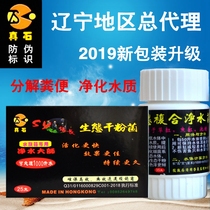 SY double long stone ecological dry powder bacteria nitrifying bacteria double fish tank aquarium water quality rapid purification master