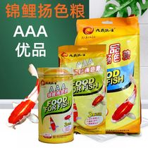 A pint of red eugene carp with special grain brocade carp to watch fish not muddy water fish feed goldfish fish grain