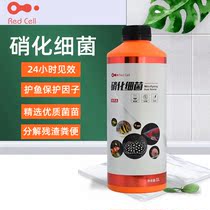 AC nitrifying bacteria highly concentrated live bacteria fish tank aquarium water purification stability water quality cultivation bacteria raw solution ammonia nitrogen decomposition
