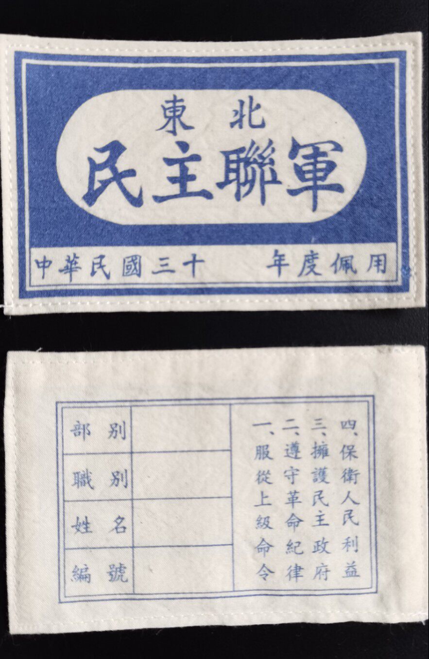 Northeast Democratic Alliance Army Armband (3)