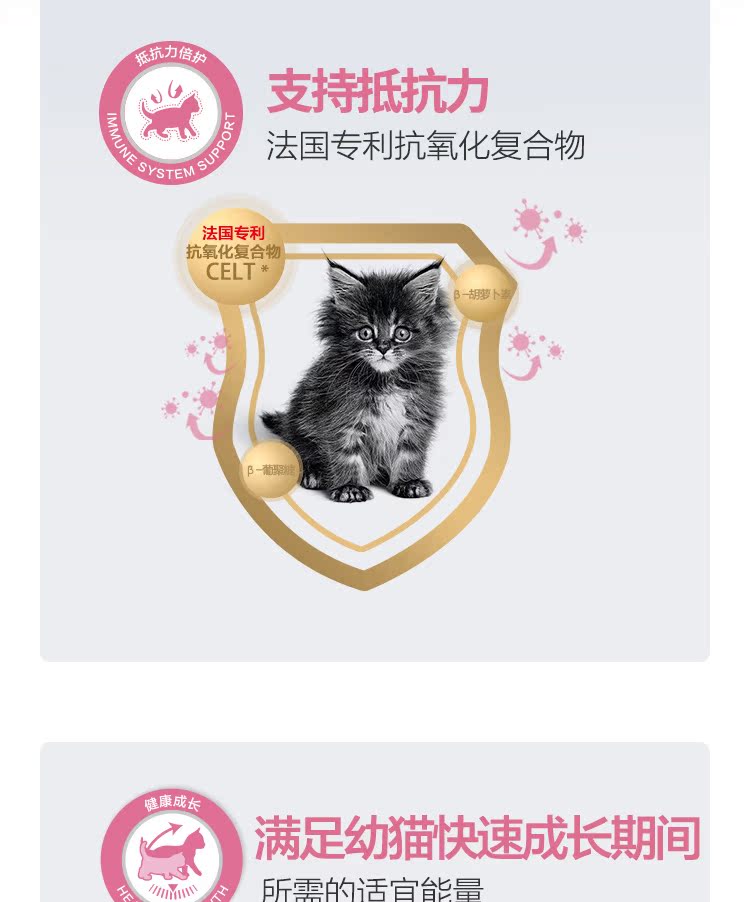 Mèo tham nhũng - Royal Canin Homemade Royal Cat K36 Thức ăn cho mèo / 4-12 tháng tuổi 4Kg - Cat Staples hạt cuncun cho mèo