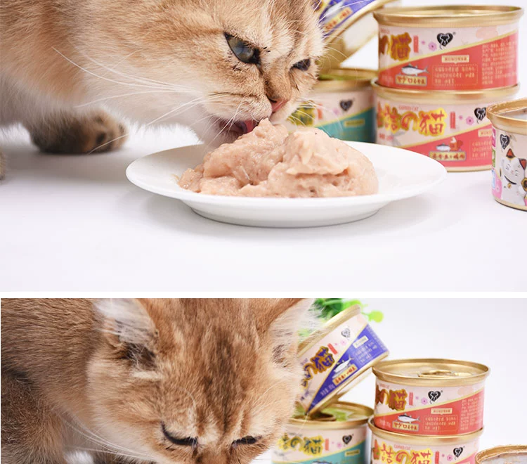 Tham nhũng mèo lovecat mousse mèo đóng hộp mèo ướt thức ăn thú cưng mèo ngon đóng hộp 85g đa hương vị tùy chọn - Đồ ăn nhẹ cho mèo felipro