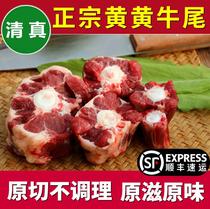 Fresh yellow oxtail original cut now slaughtered cow tail bone yellow cattle tail selection halal 4kg special dress Shun Feng