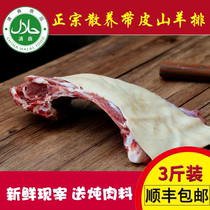 Fresh skinned goats with skin lamb ribs Lamb Chops Lamb chops meat free goats halal 3kg Shunfeng