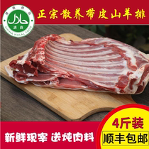 Fresh skinned goats with skin lamb ribs lamb chops meat free-range goats lamb Shunfeng halal 4kg