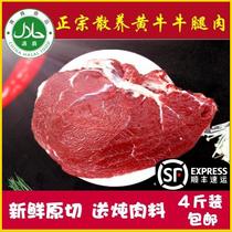 Fresh beef leg meat is not conditioned without adding original cut raw beef free-range beef 4 Jin Shunfeng halal
