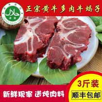 Fresh beef cattle scorpion cattle spine with beef bone hot pot ingredients now slaughtered 3kg halal Shunfeng