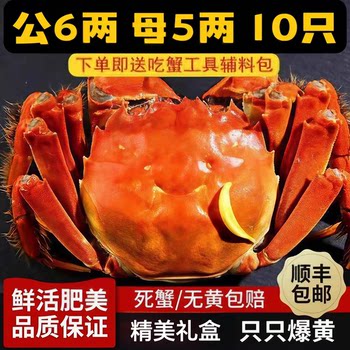 Hairy crab fresh crab male crab 6.0 two female crab 5.0 two 10 extra large gift box seafood