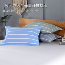 5 catties full buckwheat shell pillows for adults Cervical Spine Pillow Buckwheat Leather Pillow Core Single Pillowcase Sleep Aids for Health Care Pillows