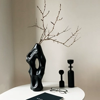 Дома на дому 雕 Скульптурная ваза Nordic Ins Silent Wind Abstract Art Ceramic Flower Swing Potal Propers