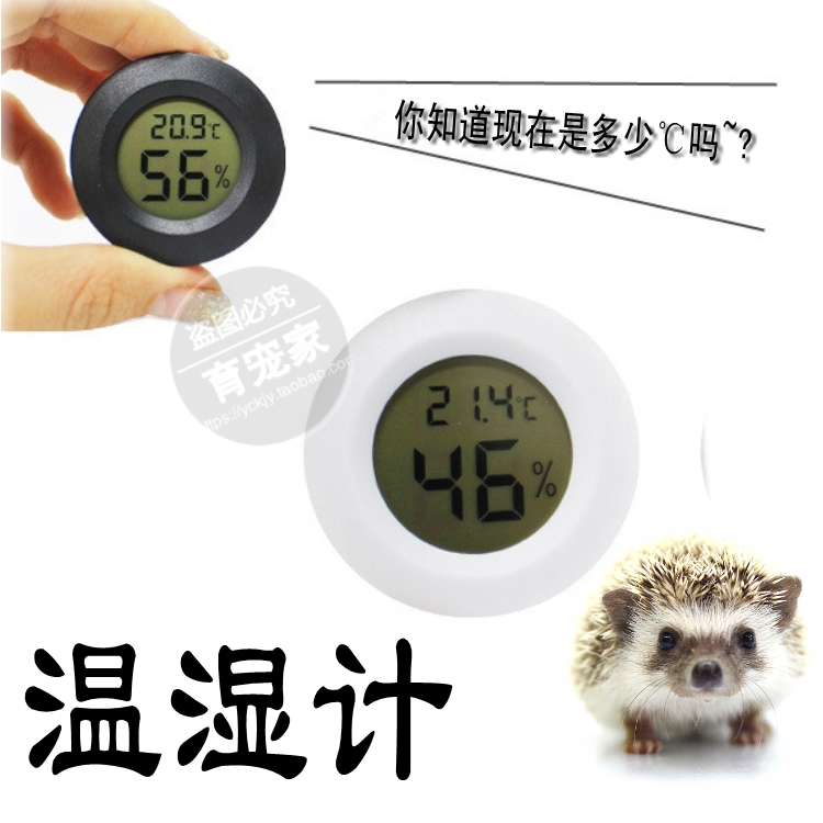 () African Mini Hedgehog Thermometer Display Thermometer Hygrometer Thermometer Electronic Temperature