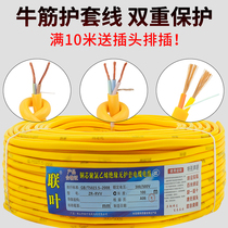 Pure copper Outdoor Wire and Cable 2 core 3 core 0 75 1 1 5 2 5 4 square beef tendon soft power cord sheath