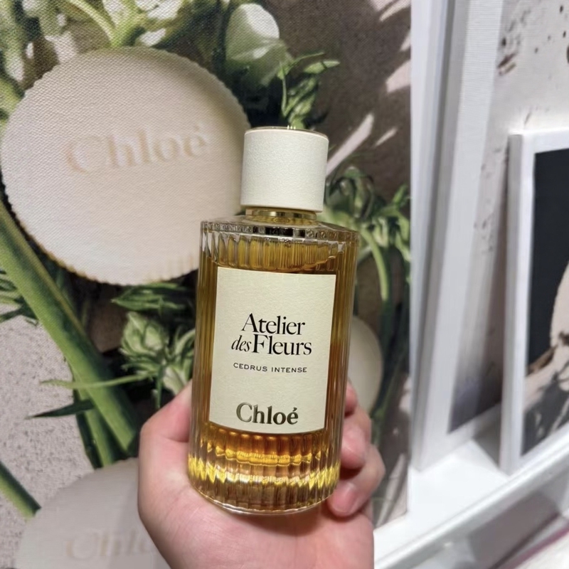 Chloe Fairyland Garden Series New Product New Fragrance Northern Cedar Strong Fragrance Deep Forest Cedar Edp 50ml