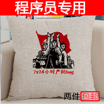 Programmer gift artifact 24 hours to prevent bugs Pillow pillow code farmer geek code IT man Programming peripheral