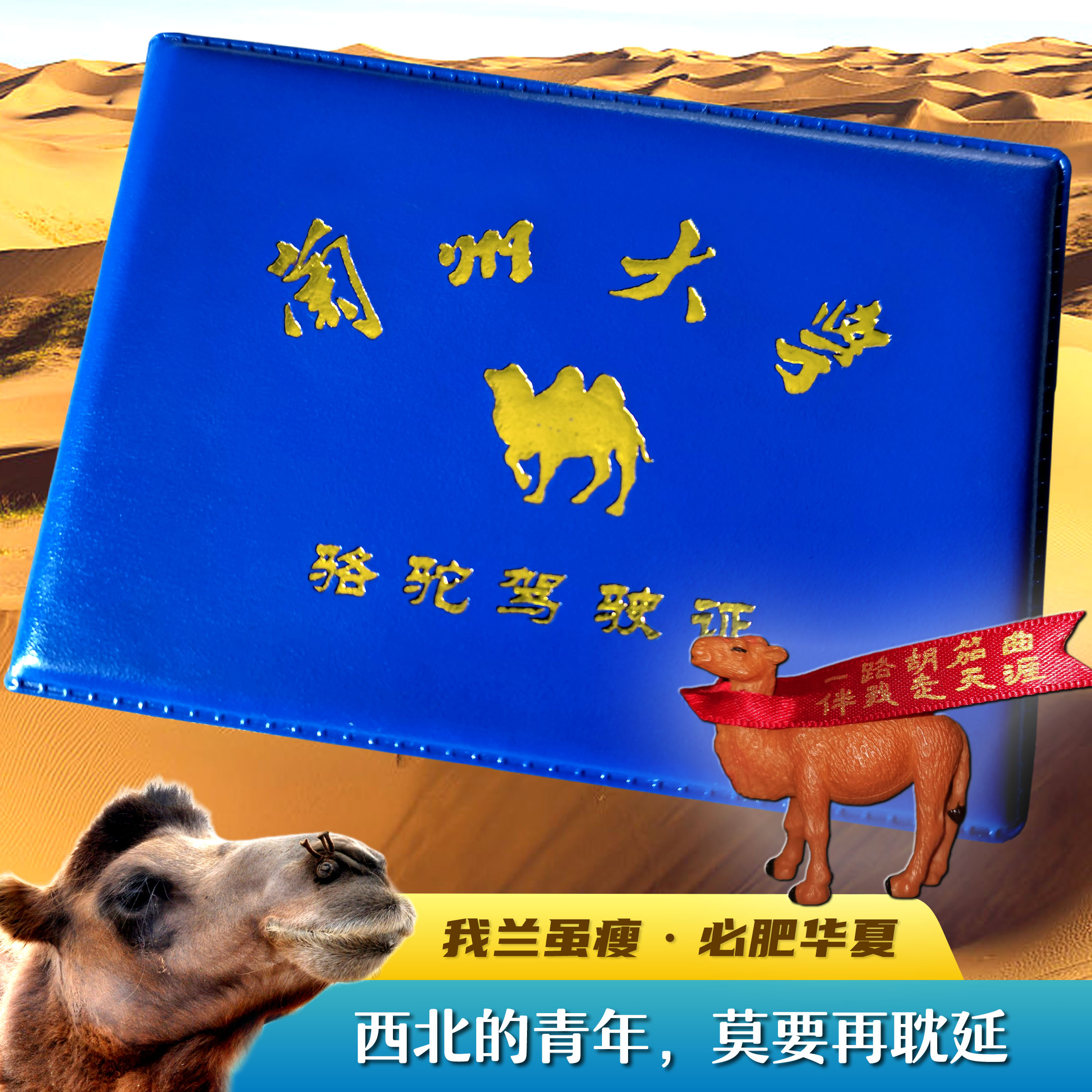 (Lanzhou University camel driver's license) Retro version of the Grand Camel's license