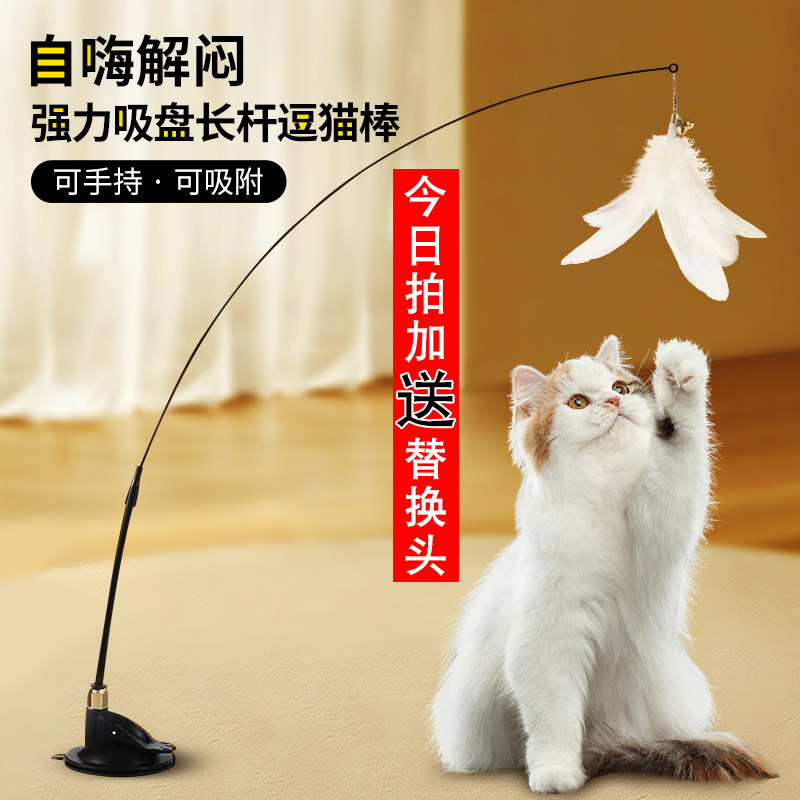 Teasing the cat stick long pole with bell powerful suction cup feather cat toy self-hi-bite kitty detachable dual-use teasing cat-Taobao