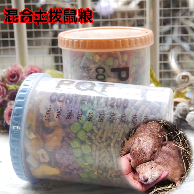 Black-tailed marmot marmot prairie yellow rat marmot