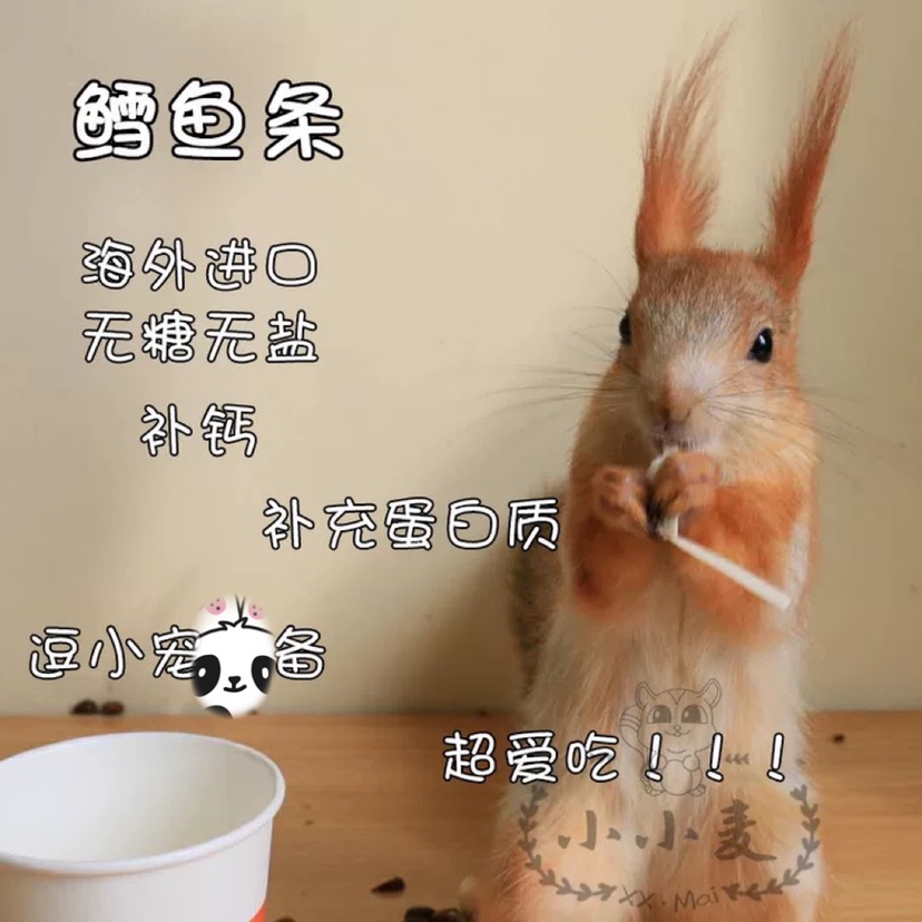 Huangshan squirrel sable sawberry bagbox hamsters hedgehog hedgehog mice supplemented calcium high protein imported cod strip