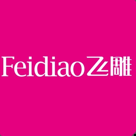 飞雕开关家居店