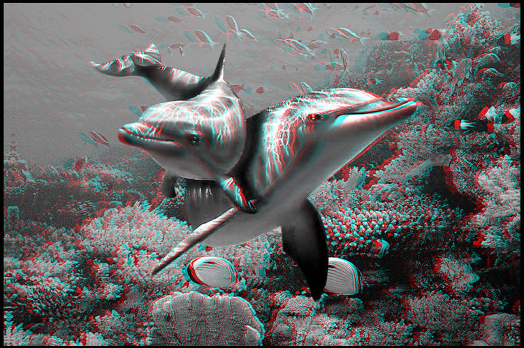 Lunettes 3D NVIDIA - Ref 1240949 Image 62