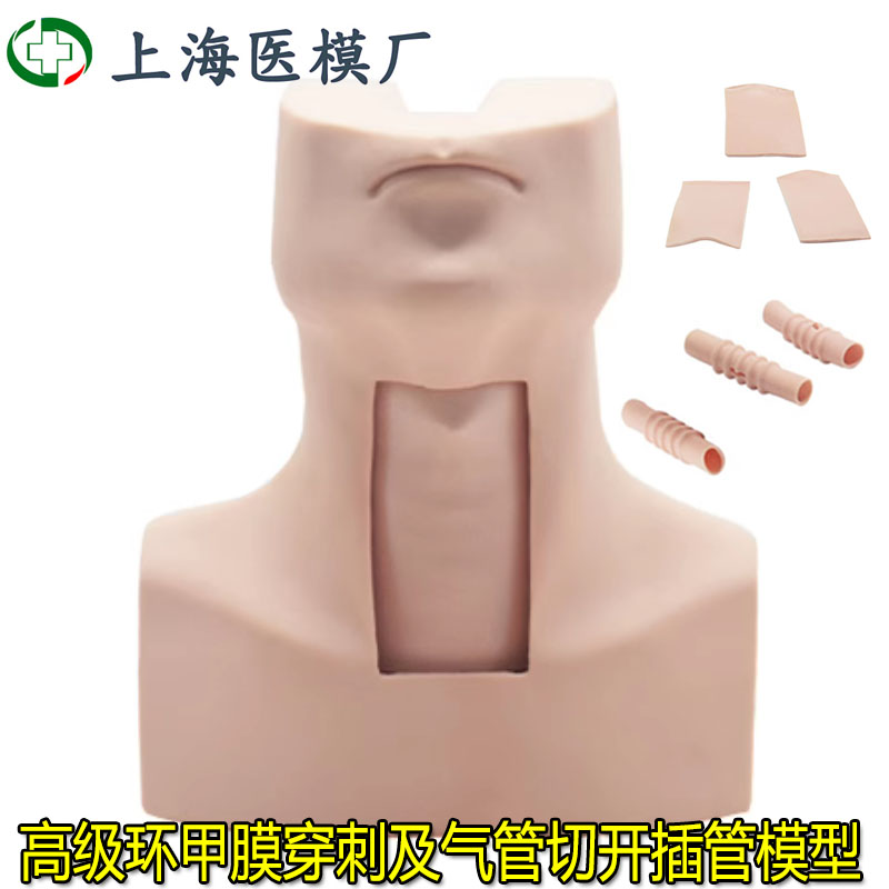 高级环甲膜穿刺气管切开训练模型喉管环状软骨解剖切开插管模具