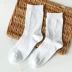 Vớ cotton nam màu tinh khiết, vớ ống, cửa hàng trực tuyến Shandong tất nam hàng hiệu Vớ nam