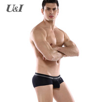 UI Underwear Boys Ice Silk Trendy Personalized Small Flat Ultra Thin Micro Transparent Sexy Low Waist U Convex Pants Tops