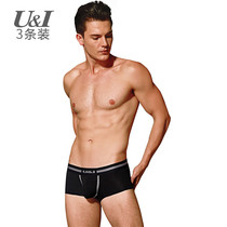 U & I3 strip Tide brand underwear mens cotton personality u convex sexy lifting four corners low waist sports breathable small boxer pants