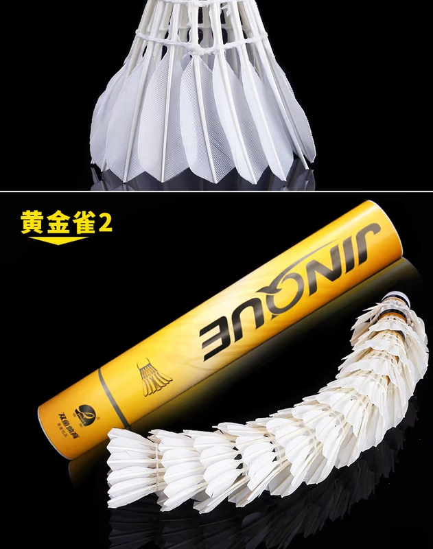 Cầu lông ngỗng của Song Ngư 12 gói một trò chơi xô bóng ngoài trời trong nhà đào tạo bóng composite