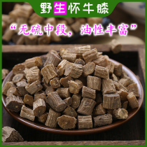 Matières médicinales chinoises sélectionnées Achyranthes bidentata 500g poudre sans soufre poudre de broyage Achyranthes bidentata produit spécialisé en vrac