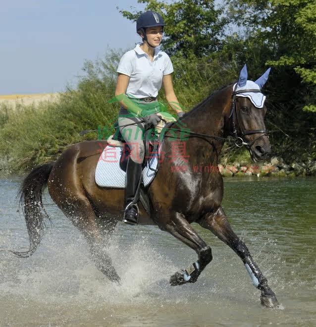 Article sports equestres - Ref 1380328 Image 7