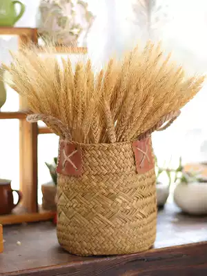 Natural wheat ear dry flower bouquet dog tail rabbit tail grass shooting props costume shop window opening decoration decoration