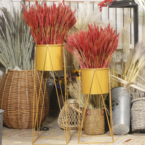 Wheat dried flower bouquet opened barley flower basket flower arrangement living room New Year Spring Festival festive decoration decoration window landing