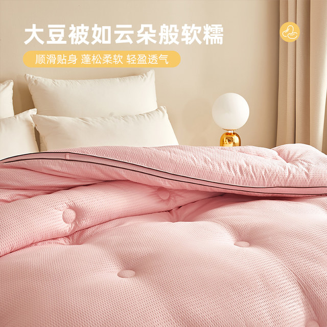 Soy fiber cotton quilt winter quilt core 2024 new winter spring and autumn 10 Jin [Jin equals 0.5 kg] Universal thickening and warmth for all seasons