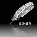 天浩国际商贸的LOGO