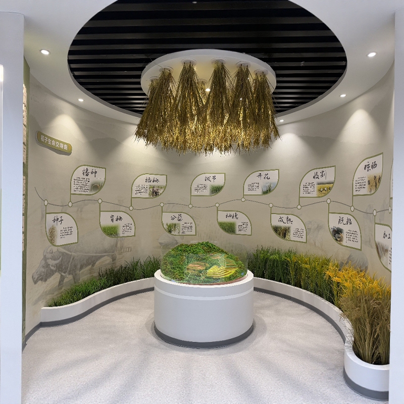 Highly Realistic Rice Growth Cycle Model: 9 Stages of a Rice Plant's Life, Fake Rice Seedling Dance Props, Children's Rice Seedling Teaching Aids Highly Realistic Rice Growth Cycle Model: 9 Stages of a Rice Plant's Life, Fake Rice Seedling Dance Props, Children's Rice Seedling Teaching Aids