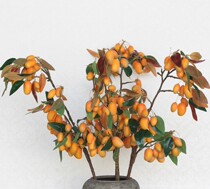 New Silk Flower Emulation Mango Branches Fake Fruits Fake Mango Fruit Tree Decoration Fruit Family Hotel With Flower Flower Arrangement